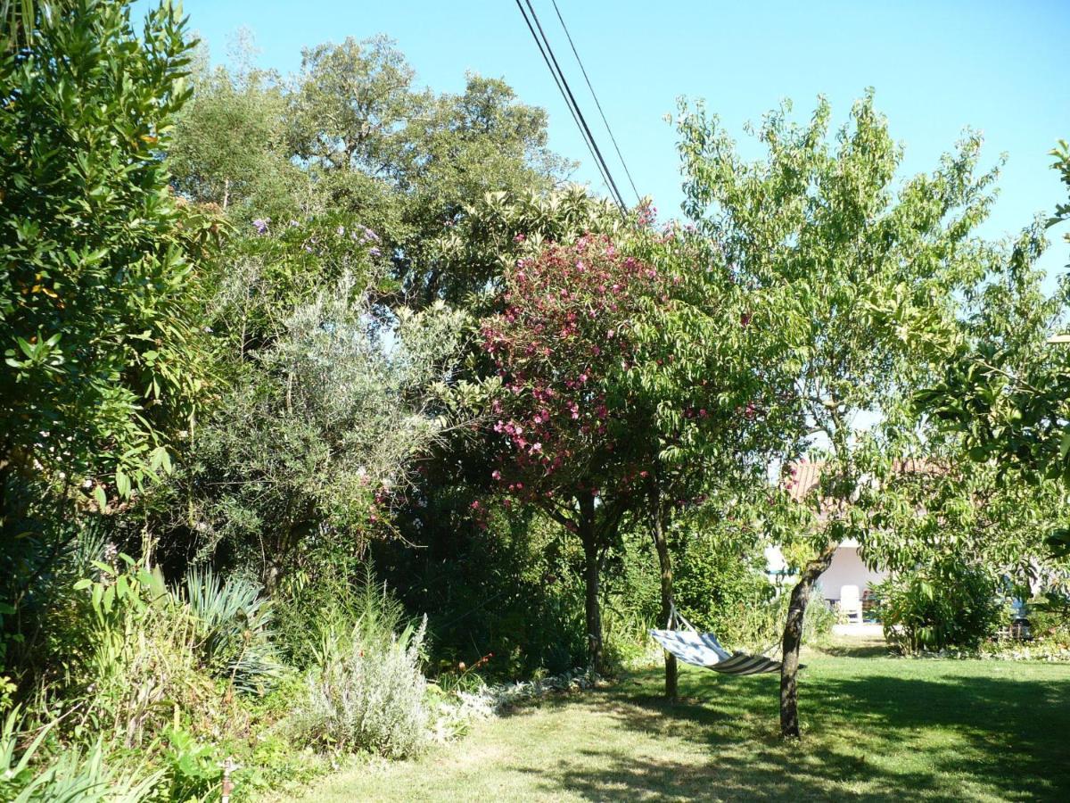 Inviting Holiday Home In Montemor O Novo With Pool Esterno foto